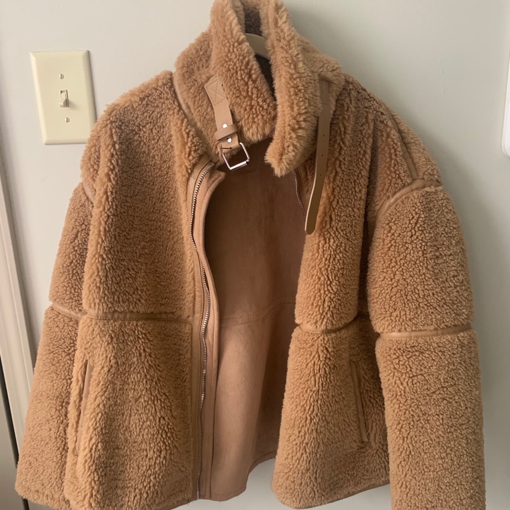 Zara Teddy Coat